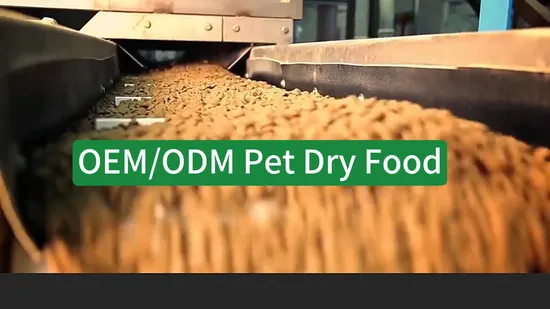 Wholesale Pet Food Animal Treats Gluten-Free Protein Rich Dry Dog Cat Food