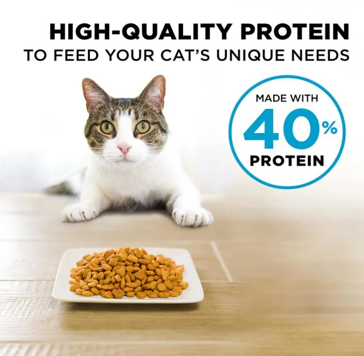 Pet Packed Dry Pet Food Dog Food Cat Food